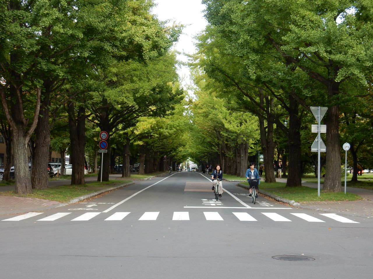 色が変わる北大キャンパス_c0025115_22444446.jpg
