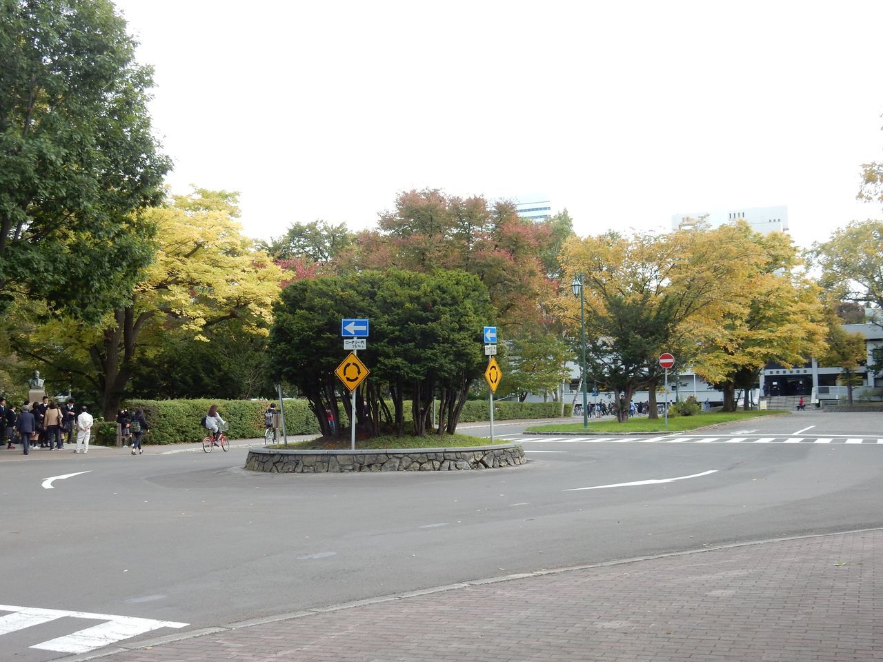 色が変わる北大キャンパス_c0025115_22451651.jpg
