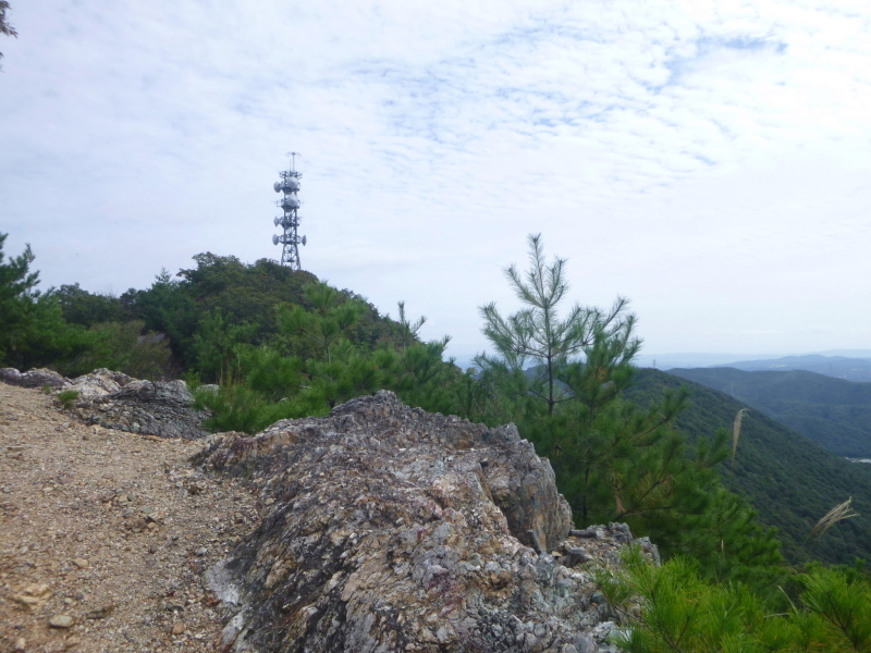 d0170615_17114260.jpg