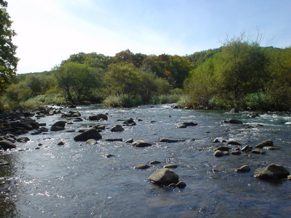 f0280717_15581227.jpg