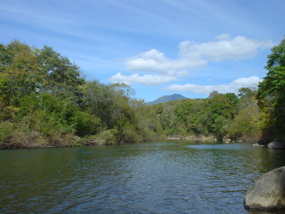 f0280717_15582543.jpg