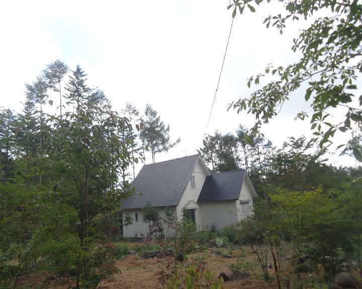 b0248920_05341900.jpg