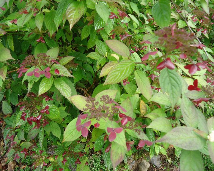 b0248920_05512530.jpg