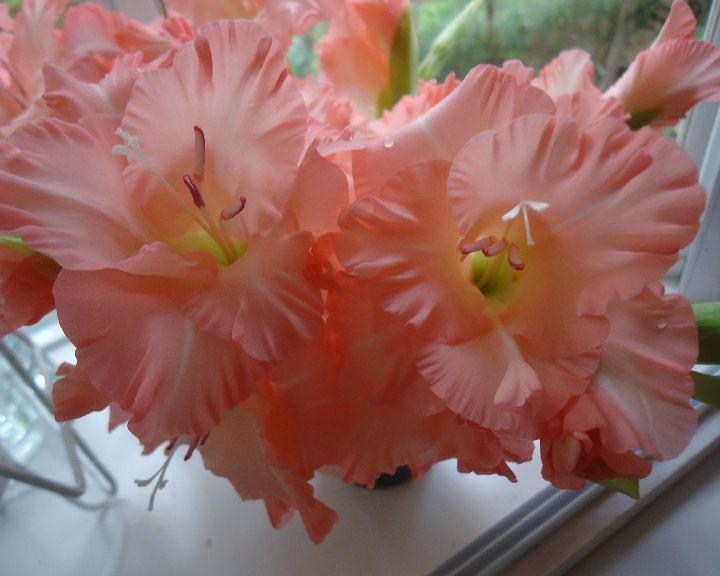 b0248920_06040846.jpg