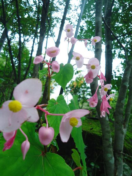 b0248920_08075850.jpg