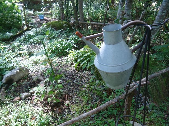 b0248920_08292075.jpg