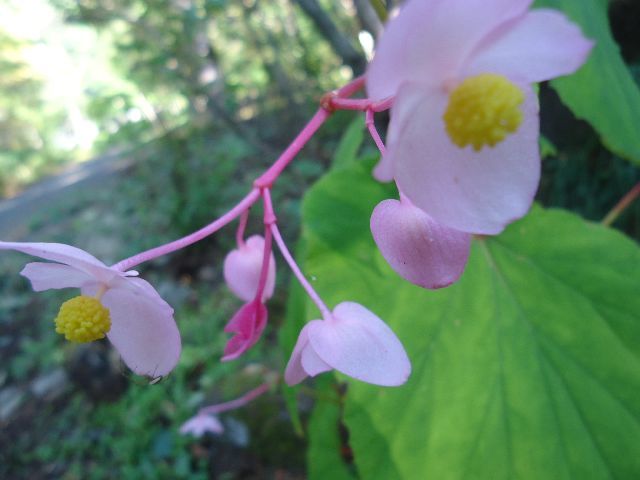 b0248920_14071697.jpg