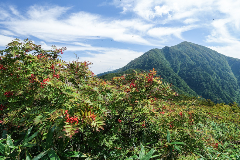 2017.9.24 荒島岳(1523m) 福井県大野市 SOTA JA/FI-005_c0383126_17261954.jpg