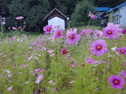 e0016828_09312393.jpg
