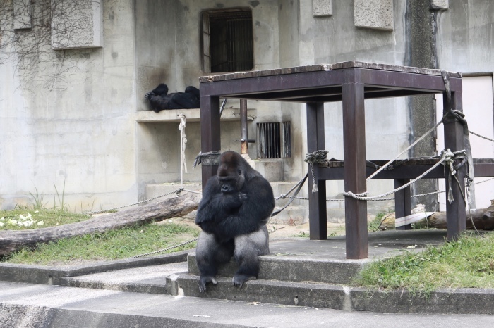 【東山動植物園】名古屋旅行 - 3 -_f0348831_07544986.jpg