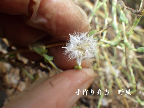 b0244034_11323883.jpg