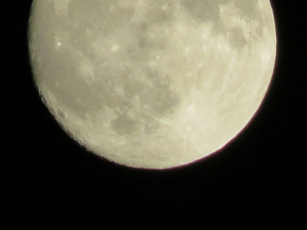 c0209334_23145424.jpg
