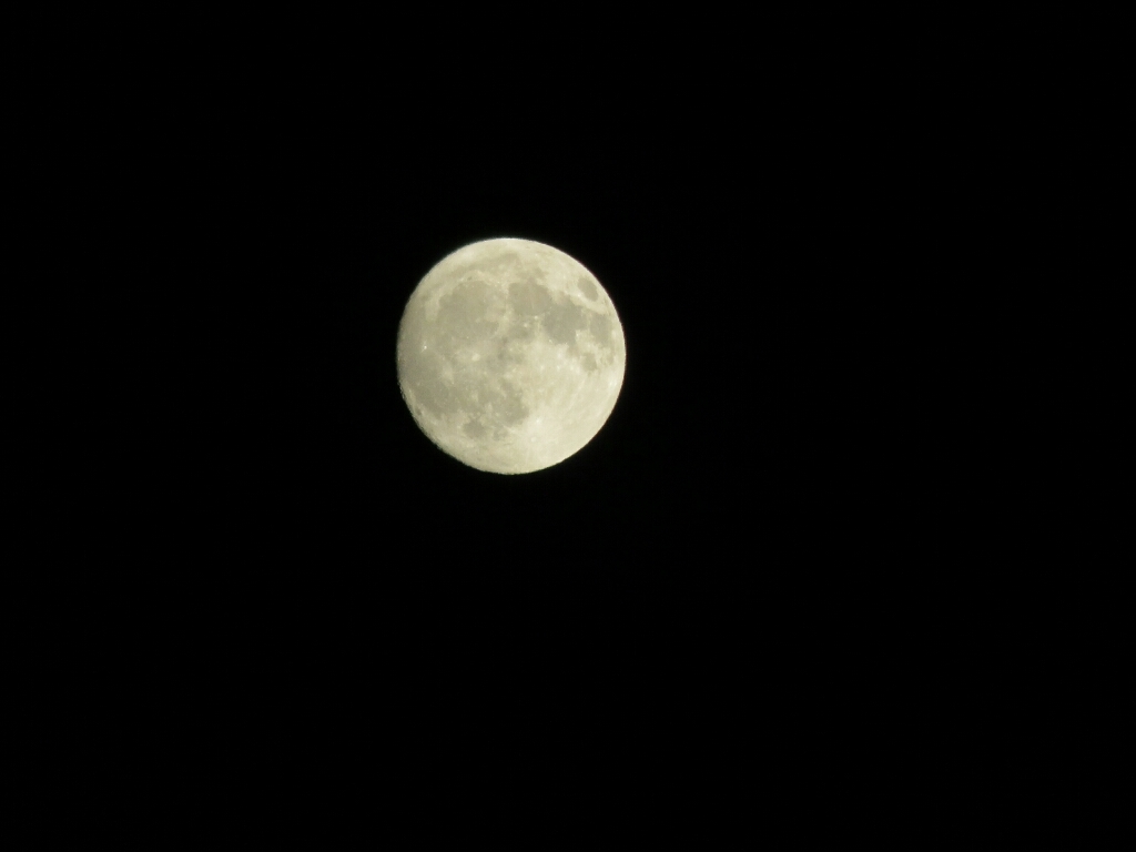 c0209334_23145526.jpg