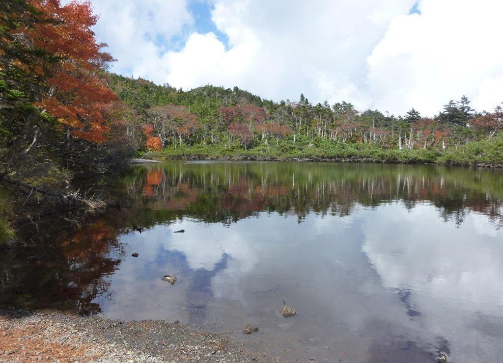 9/26 （火） 北八ヶ岳池廻り ① 七ッ池・亀甲池・双子池_b0298935_22011527.jpg