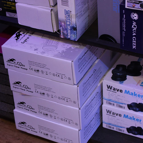 爆入荷???_d0221436_22555282.jpg