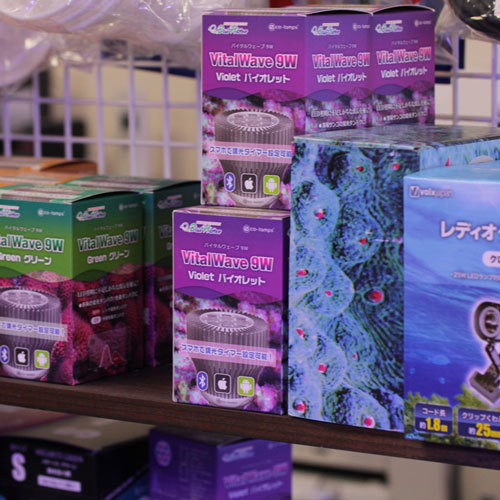 爆入荷???_d0221436_22561504.jpg
