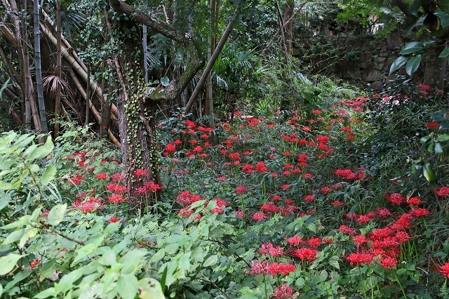 a0242438_21264960.jpg