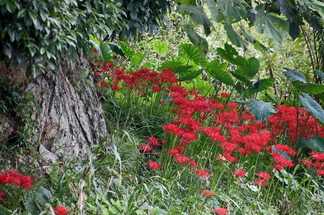 a0242438_21265069.jpg