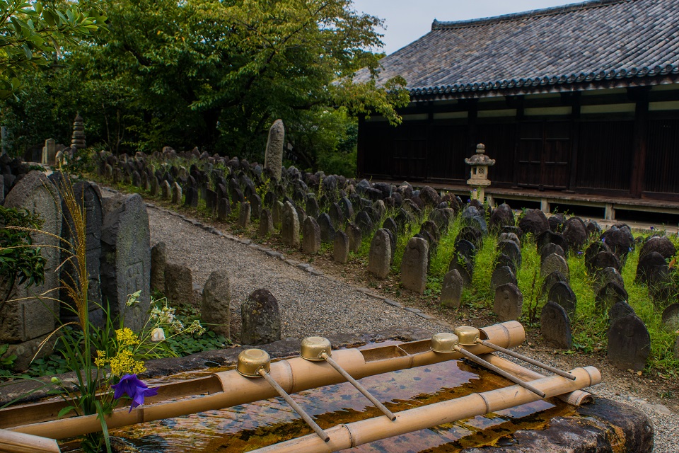 奈良・元興寺～萩_e0363038_12472181.jpg