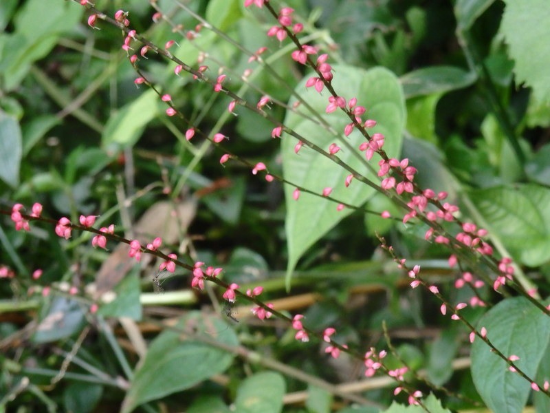 a0054240_19485979.jpg