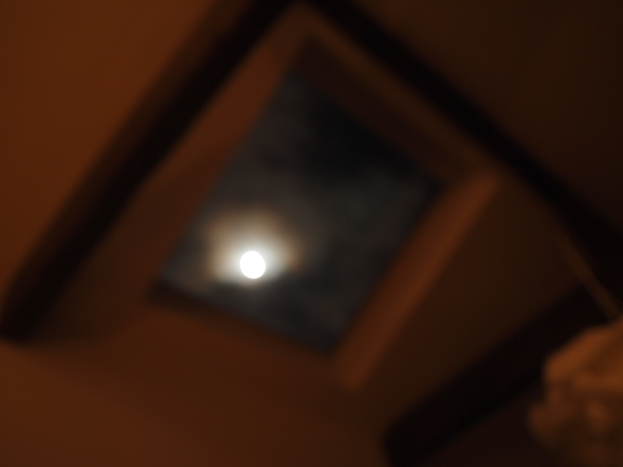 a0299945_17294532.jpg