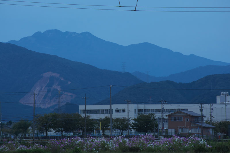 d0342652_15897.jpg