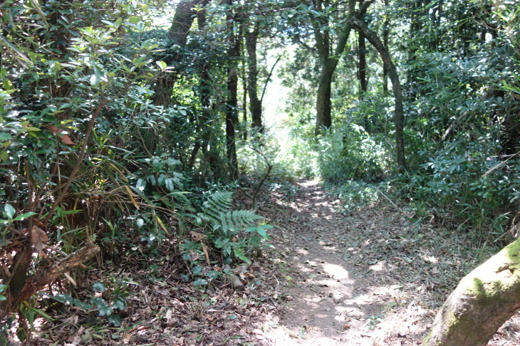 d0345153_21281060.jpg