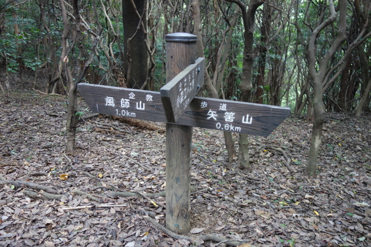 d0345153_21281945.jpg