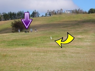 e0364056_11272938.jpg