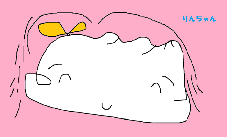 らくがき模様あそび_e0370759_16010278.png