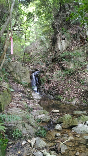 c0260463_04195630.jpg