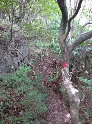 c0260463_04201232.jpg