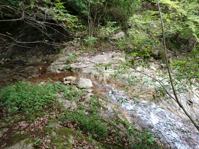 c0260463_04203631.jpg