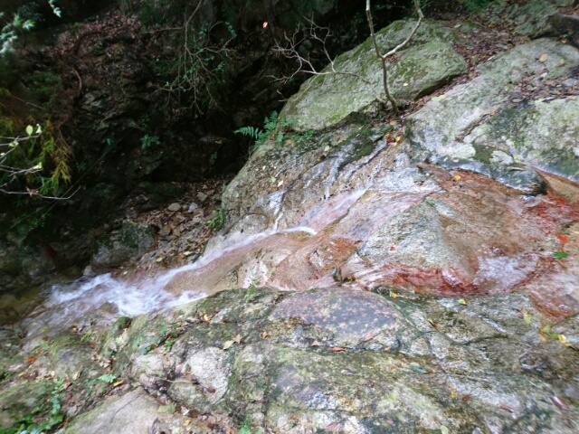 c0260463_04205760.jpg