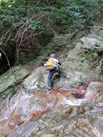 c0260463_04211447.jpg