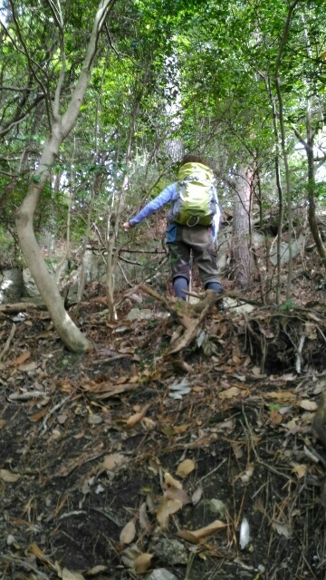 c0260463_04333910.jpg