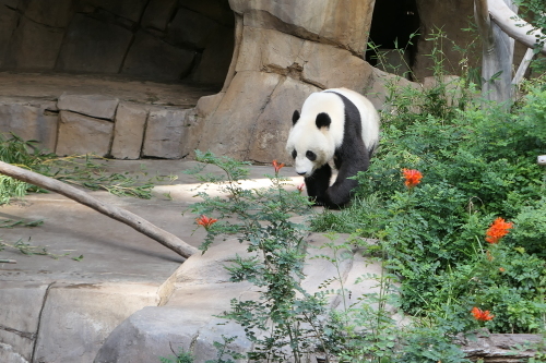 d0193569_04463426.jpg