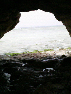 2007/4/16-23 多良間島、伊良部島、宮古島、八重干瀬、大神島(写真追加、ミクシィ日記より)_b0116271_10460380.jpg