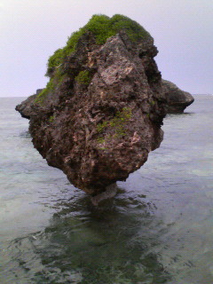 2007/4/16-23 多良間島、伊良部島、宮古島、八重干瀬、大神島(写真追加、ミクシィ日記より)_b0116271_10522560.jpg