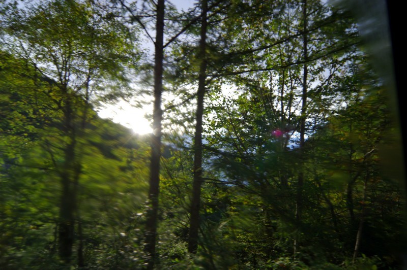 d0130980_00181010.jpg