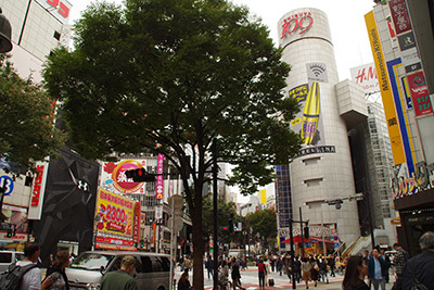 b0056983_15540793.jpg