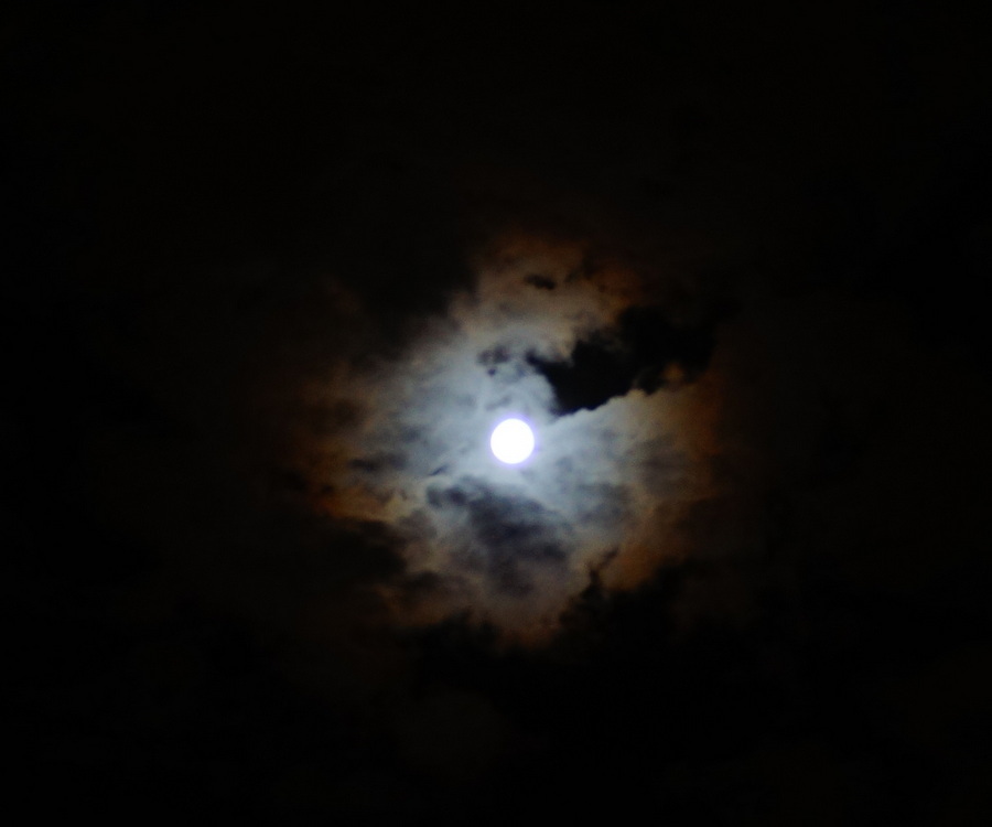 c0180686_10240901.jpg