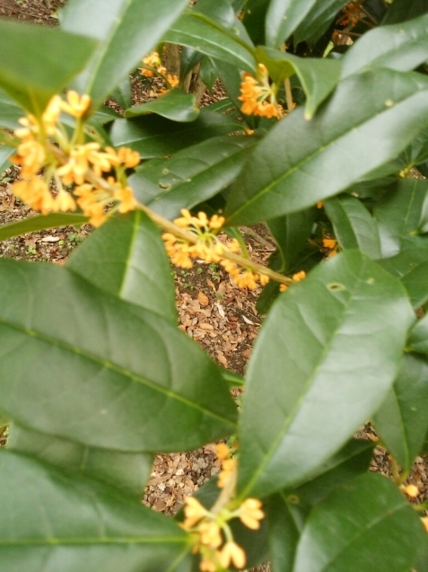 e0371086_20070222.jpg