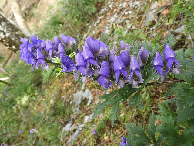 f0357487_024796.jpg