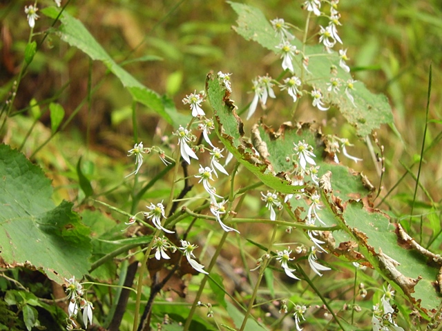 f0357487_21274587.jpg