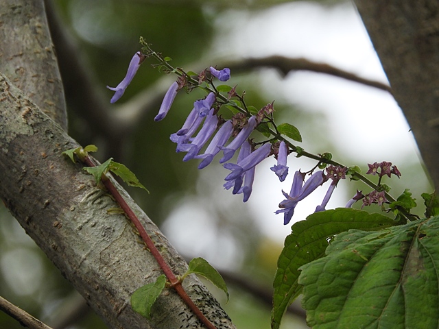 f0357487_2127629.jpg