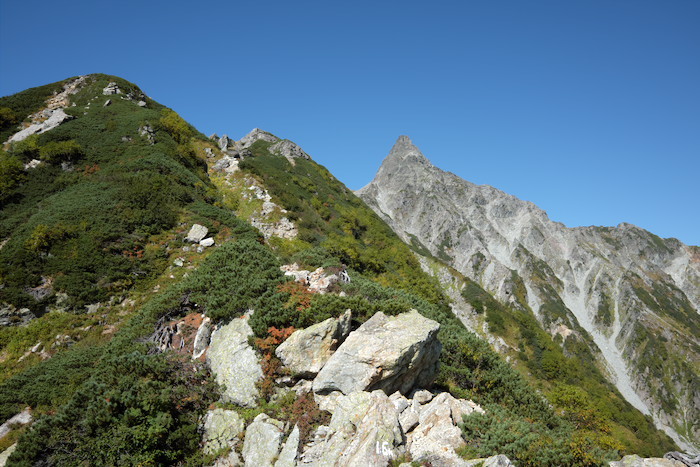 b0339488_19153646.jpg