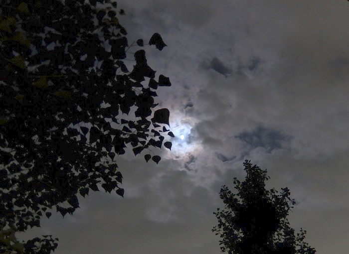 c0119197_14311851.jpg