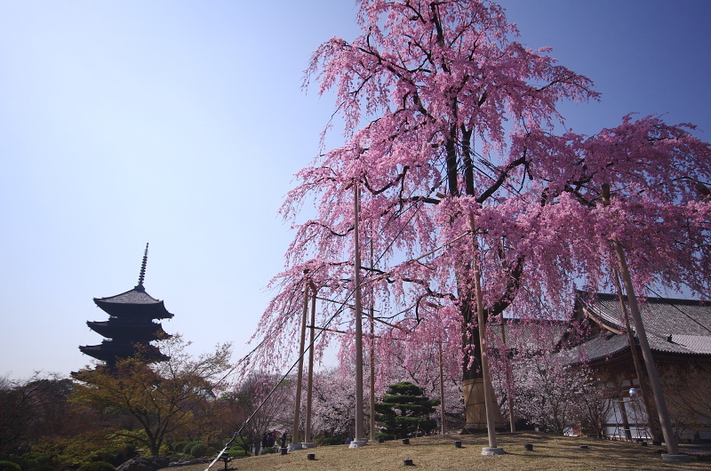 c0382798_21313758.jpg