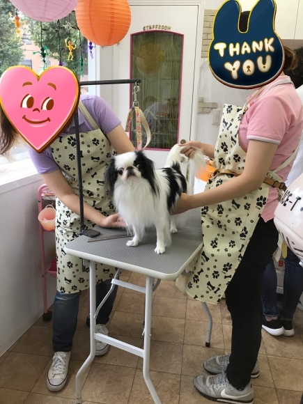 瑠璃っぺサロンの巻 白黒きんぎょの3狆ごよみ 瑠璃っぺサロンの巻 白黒きんぎょの3狆ごよみ